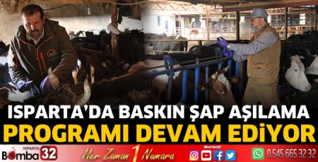Isparta’da Baskın Şap Aşılama Programı devam ediyor