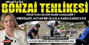 ISPARTA’DA BONZAİ TEHLİKESİ