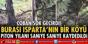 ISPARTA’DA DEV PİTON YILANI GÖRÜLDÜ