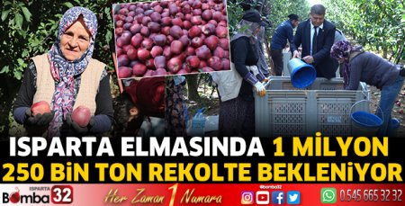 Isparta’da elma hasadı başladı