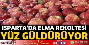 Isparta’da elma rekoltesi yüz güldürüyor