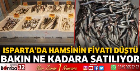 Isparta’da hamsinin fiyatı düştü