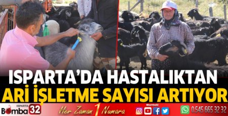 Isparta’da hastalıktan ari işletme sayısı artıyor