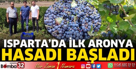 Isparta’da ilk Aronya hasadı başladı