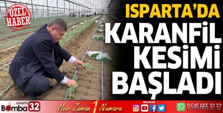 Isparta’da karanfil kesimi 
