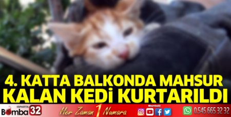 Isparta’da kedi kurtarma operasyonu