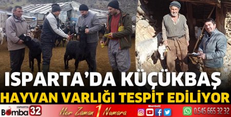 Isparta’da küçükbaş hayvan varlığı tespit ediliyor