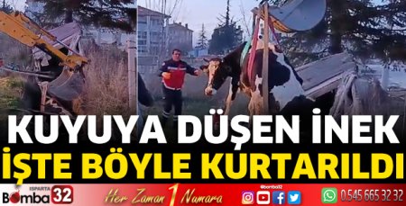 Isparta’da kuyuya düşen inek kurtarıldı