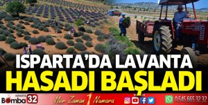 Isparta’da Lavanta Hasadı Başladı