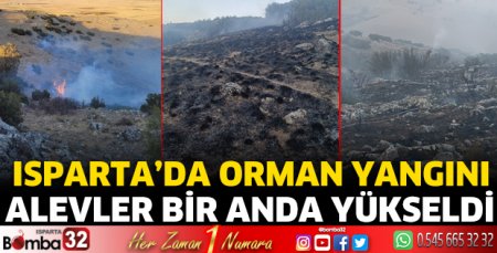 Isparta’da orman yangını 