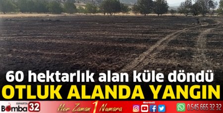 Isparta’da otluk alanda yangın