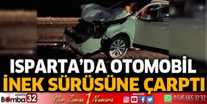 Isparta’da otomobil inek sürüsüne çarptı