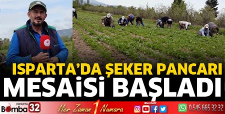 Isparta’da şeker pancarı mesaisi