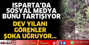 Isparta’da sosyal medyada dev yılan paniği