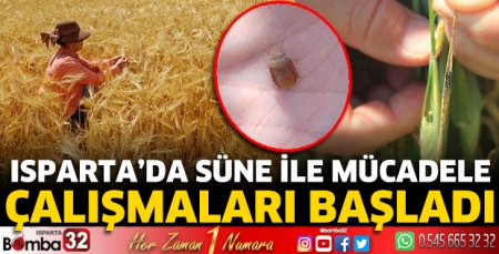 Isparta’da Süne ile mücadele çalışmaları başladı