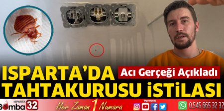 Isparta’da tahtakurusu istilası