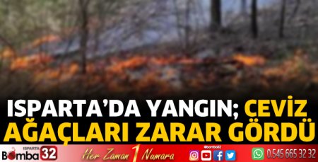 Isparta’da yangın; Ceviz ağaçları zarar gördü 