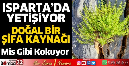 Isparta’da yetişen doğal şifa kaynağı