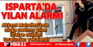 ISPARTA’DA YILAN ALARMI