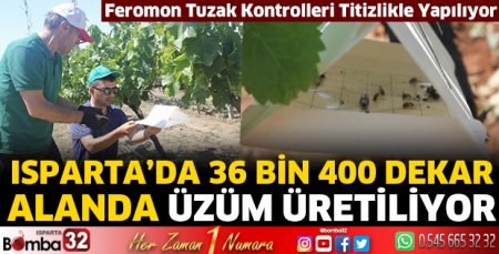 Isparta’daki üzüm bağlarında feromon tuzak kontrolleri yapıldı
