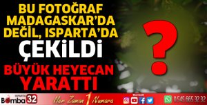 Isparta’nın Sütçüler ormanlarında çekildi
