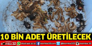 Isparta'da 10 bin adet üretilecek