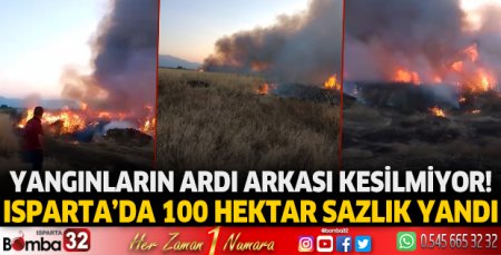Isparta'da 100 Hektar sazlık yandı