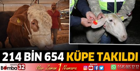 Isparta'da 214 bin 654 küpe takıldı