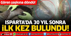 Isparta'da 30 yıl sonra ilk kez bulundu
