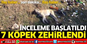 ISPARTA'DA 7 KÖPEĞİN ZEHİRLENMESİNE İNCELEME