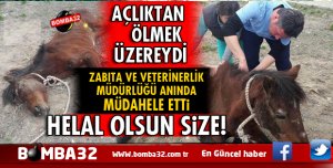 ISPARTADA AÇLIKTAN ÖLMEK ÜZEREYKEN BULUNDU