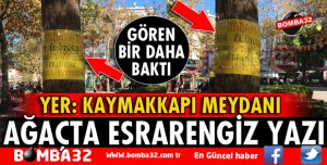 ISPARTA'DA AĞAÇTAKİ YAZIYI GÖRENLER HAYRETE DÜŞTÜ