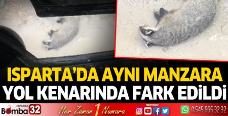 Isparta'da aynı manzara! Yol kenarında fark edildi...