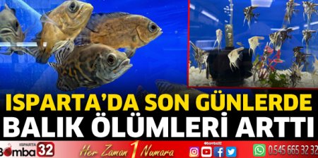 Isparta'da balık ölümleri arttı