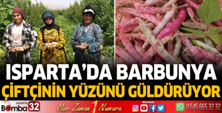 Isparta'da barbunya çiftçinin yüzünü güldürüyor