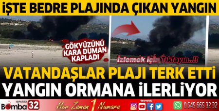 Isparta'da Bedre plajında yangın! Hızla ormana ilerliyor