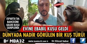 ISPARTA'DA BİR EVİN BAHÇESİNE EBABİL KUŞU KONDU