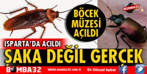 ISPARTA'DA BÖCEK MÜZESİ ZİYARETÇİLERİNİ BEKLİYOR