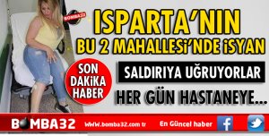ISPARTA'DA BU İKİ MAHALLEDE HER GÜN SALDIRI OLUYOR
