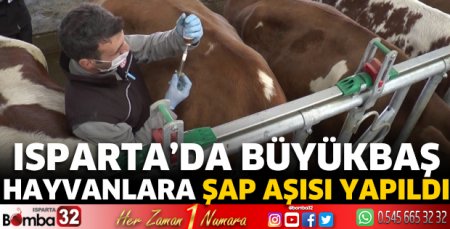 Isparta'da büyükbaş hayvanlara şap aşısı yapıldı