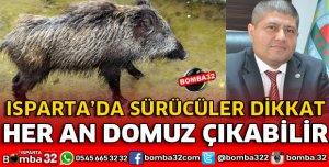 ISPARTA'DA DOMUZ İSTİLASI