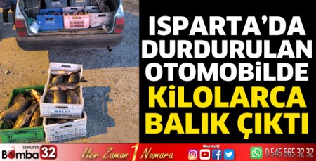 Isparta'da durdurulan otomobilden kilolarca balık çıktı