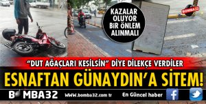 ISPARTA'DA DUT AĞAÇLARI TEHLİKE SAÇIYOR