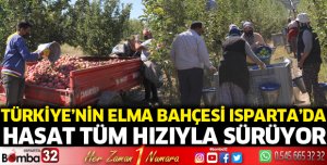 Isparta'da elma hasadı devam ediyor