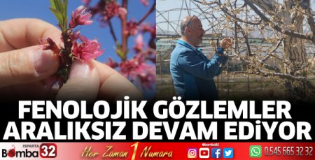 Isparta'da Fenolojik Gözlemler aralıksız devam ediyor