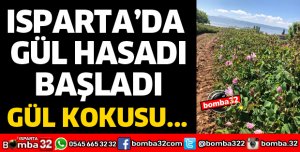 ISPARTA'DA GÜL HASADI BAŞLADI