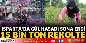 Isparta'da gül hasadından 15 bin ton rekolte