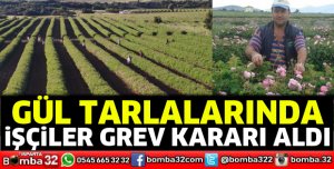 Isparta'da gül toplayan işçiler grev kararı aldı