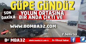 ISPARTA'DA GÜPE GÜNDÜZ YOLUN ORTASINA ÇIKTI 