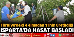 Isparta'da hasat başladı